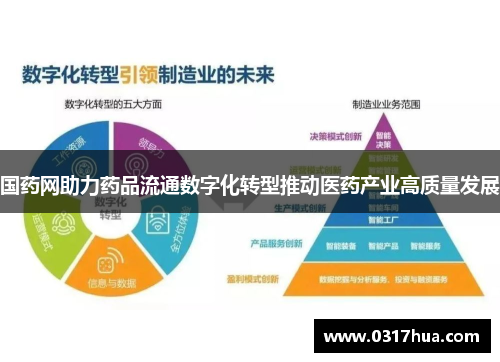 国药网助力药品流通数字化转型推动医药产业高质量发展
