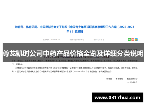 尊龙凯时公司中药产品价格全览及详细分类说明