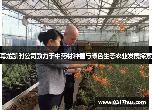 尊龙凯时公司致力于中药材种植与绿色生态农业发展探索