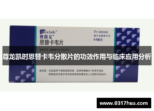 尊龙凯时恩替卡韦分散片的功效作用与临床应用分析