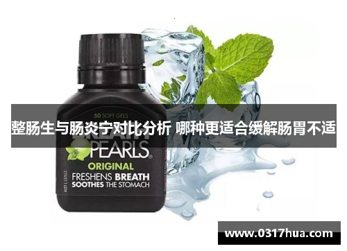 整肠生与肠炎宁对比分析 哪种更适合缓解肠胃不适