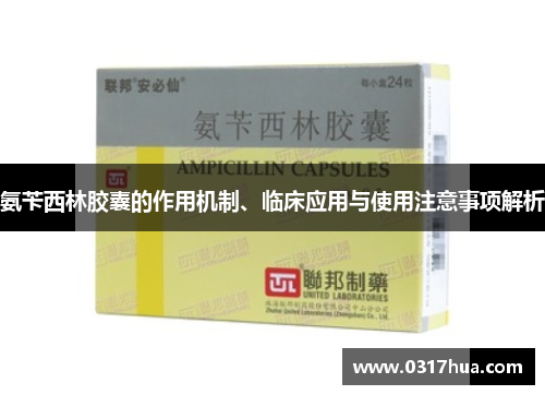 氨苄西林胶囊的作用机制、临床应用与使用注意事项解析
