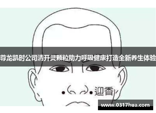 尊龙凯时公司清开灵颗粒助力呼吸健康打造全新养生体验